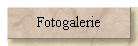 Fotogalerie